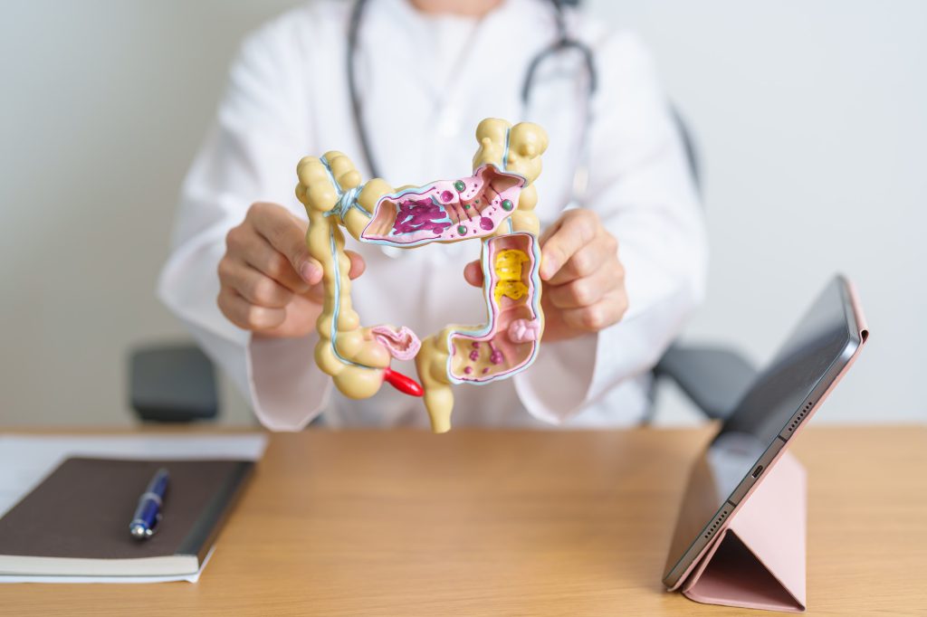 Doctor with human Colon anatomy model and tablet.
