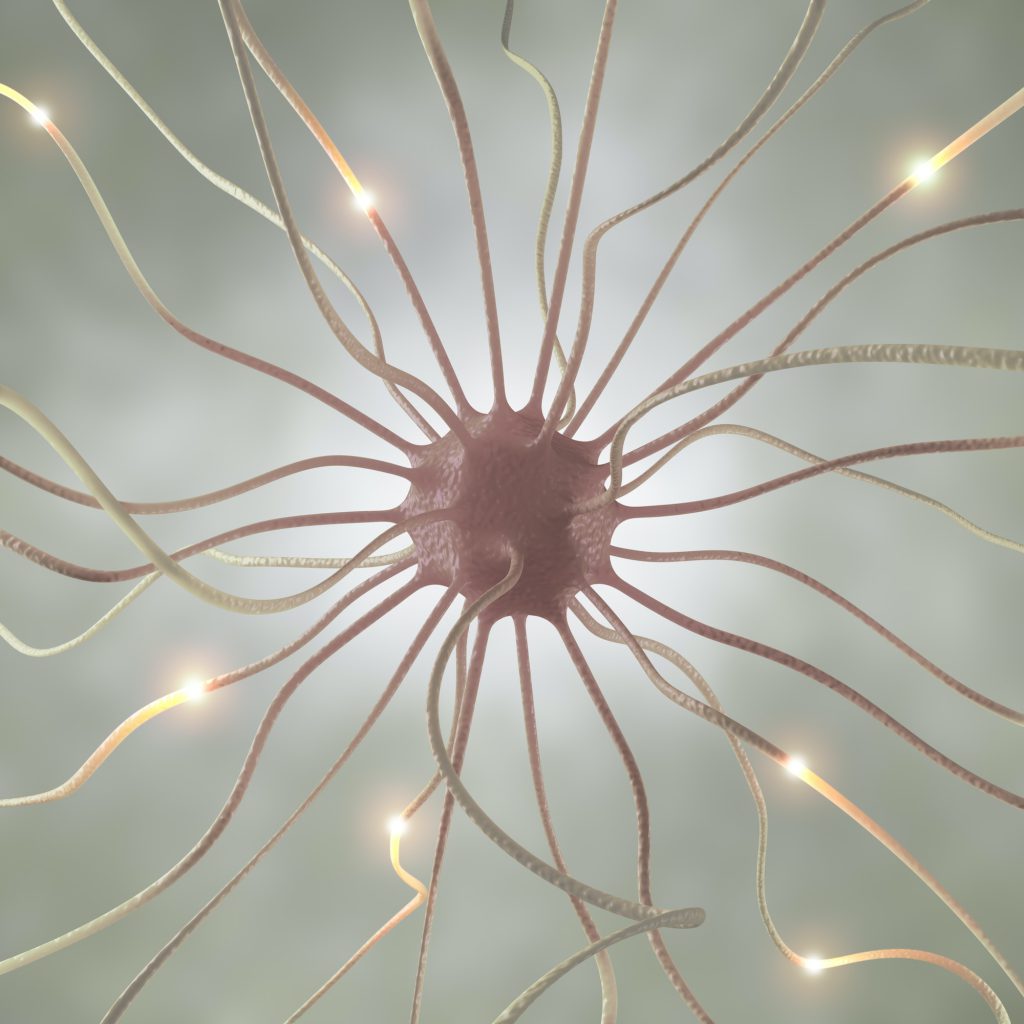 Nerve Cell Pulse